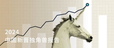 When Post-'90s Founders Cluster Into the Unicorn Club: A Look at China's New Unicorns in 2024