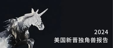 Post-95s Founders Lead the GenAI Application Revolution: A Look at 2024's New American Unicorns