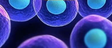 Huaweihengyuan Raises Tens of Millions of Yuan in Series A Funding to Accelerate Cell Therapy and Assisted Reproductive Pipeline Innovation | Unity Ventures Portfolio News