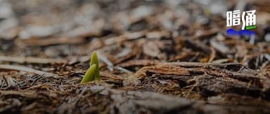 Hesai Group surged 10% in its IPO — a promising start to 2023
