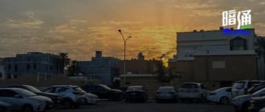 Chinese in Saudi Arabia: Flowers, Desert, and Dampened Dreams