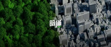 Will Chinese Concept Stocks Disappear?
