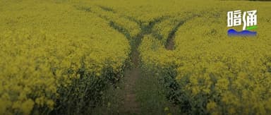 The Clear Path, Hidden Path, and Rocky Path of AI Fundraising