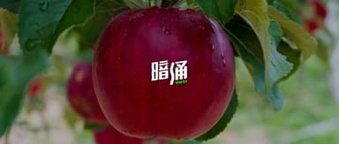 "PAG's China Picture Is Just Beginning to Unfold, as 'One Step Forward, One Step Back' Sets Two Records"