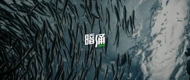 An Exhibition Revisiting 30 Years of Chinese Venture Capital | WAVE's Third Anniversary