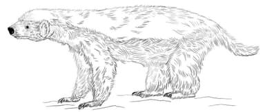 MONOLITH in Everyone's Eyes — Striving to Be a Honey Badger