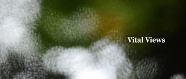 Physical Intelligence: Building a General-Purpose Embodied Foundation Model | Vital Views