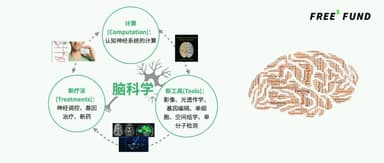 FreeS Report 24 | Embracing the "Smartest" Opportunity: Investing Boldly in Brain and Neuroscience