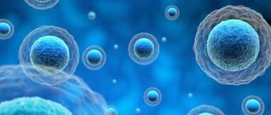 How Does Single-Cell Sequencing Help You Understand the 40 Trillion Cells in Your Body? | 2021 FreeS Fund Annual Investor Summit