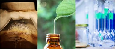 Biomanufacturing: Who Can Move Faster on the New Research Paradigm?