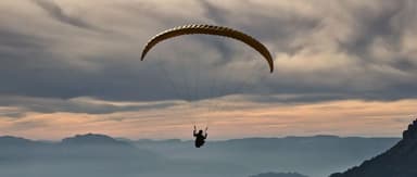 2020: The Travel Industry's Reset and Restart | Frees Fund