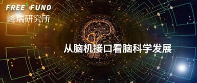 Brain Science Through the Lens of Brain-Computer Interfaces