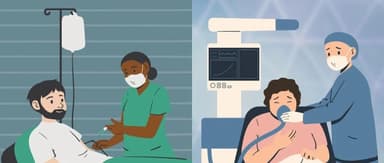 Sex Differences in the Immune System and Their Implications | FreeS Research Institute