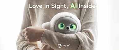 From Foundation Models to AI Companions: What Cyclical Patterns Lie Behind the Rotation of AI Hype Cycles?