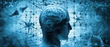 Brain Diseases in Its Crosshairs: NeuroXess Raises $4.2 Million in Angel Round | FreeS Fund Deal News