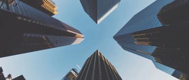 The New Era of "Good Companies" After the Pandemic | Frees Fund