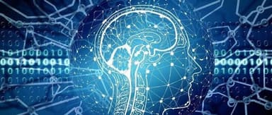 How Can We Further Explore the Human Body's "Smartest" Organ? | FreeS Research Institute