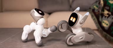 Recreating a Kickstarter Hit, Xbot's New Product "Loona" Wants to Be Humanity's Best Friend | BlueRun Ventures Headline