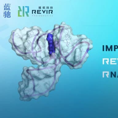 ReviR Therapeutics Receives Investment from CMT Research Foundation, Pioneering Small-Molecule RNA-Targeted Therapy for CMT1A | BlueRun Ventures Headlines