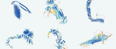 BlueRun Ventures Portfolio in Action | BioMap × Luchen Tech: AI Powers a New Engine for Innovative Drug R&D
