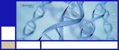 BlueRun Ventures Early-Stage Portfolio Company Shian Biosciences Enters Exclusive ALK7 siRNA Licensing Agreement with GSK | BlueRun Ventures Family Headlines