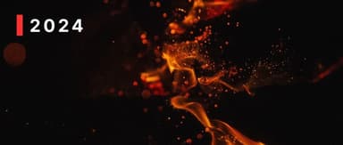 Taking Gems From Fire — Linear Capital's 2024 Year in Review