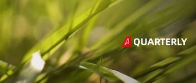 立春已至,繁花还会远吗 | Linear Quarterly