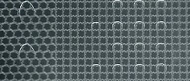 Linear Capital's angel-round lead portfolio company, digital microfluidics technology platform Aoxu Technology, has completed a nearly RMB 100 million Series A funding round, with existing investor Linear Capital continuing to increase its support.