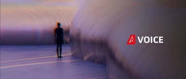 "Old Boomer" Software Companies: What's Their AI Play? | Linear Voice