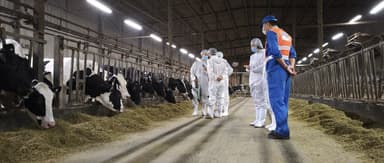"Yimu Technology" Ma Zhifen: From Serving Individual Ranches to Serving the Entire Livestock Industry, Built on Data Intelligence and Network Effects