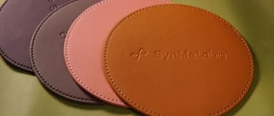 "贻如生物" Su Rui: How the World's First Continuously Produced 100% Bio-based Leather Was Achieved | Linear Capital Portfolio Interview Series