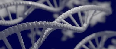 AI Tech Drives Down Enzymatic DNA Synthesis Costs, Enzymo Technology Raises Tens of Millions in Angel Round Led by Linear Capital