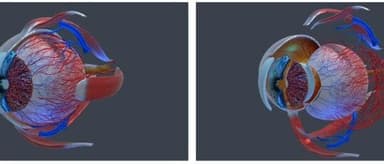 Linear Capital's Pre-A lead portfolio company **DigiSight Medical** has closed a multi-million-yuan Pre-A+ round, with existing investor Linear Capital continuing to back the company.