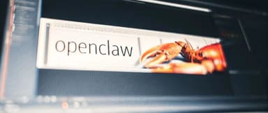 After OpenClaw Went Viral, Here Are the Startup Signals We're Seeing