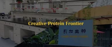 Yinjia Biotech Closes Pre-A Round, Advancing Its High-End Protein Platform to New Heights