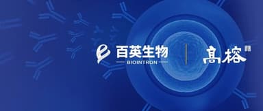 Antibody discovery CRO **Baiying Biotech** closes nearly RMB 500 million Series B round