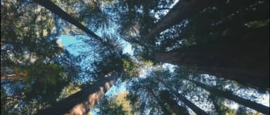 Gaorong Bulletin · September | Gaorong Ventures Ranks Top 3 in 2021 VC Fund Returns, Milestones for Cross-Border Services, New Drug R&D, and New Brands