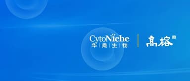 3D Cell Manufacturing Platform Huaxin Biotech Closes Series B+ Round to Accelerate Cell Therapy Commercialization for Global Clients