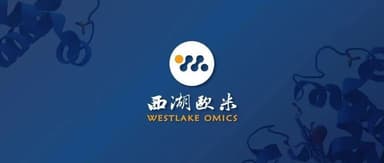 西湖欧米完成数千万元种子轮融资,深耕蛋白质组学研究、助力精准辅助诊断