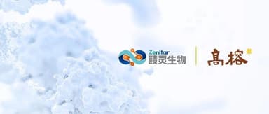Zenitar Closes Nearly RMB 400 Million Series B+ Round, Multiple Global First-in-Class Drugs Enter Pivotal Clinical Trials