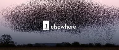 预测市场的founder们都说他们在做今日头条