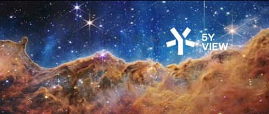 A Rough Road Leads to the Stars | 5Y View