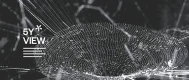How Does the Fusion of Science and Art Spark Creativity? | 5Y View