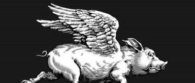 5Y View|How to Think Independently and Outpace Your Peers